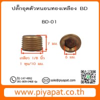 BD01 รูปโชว์